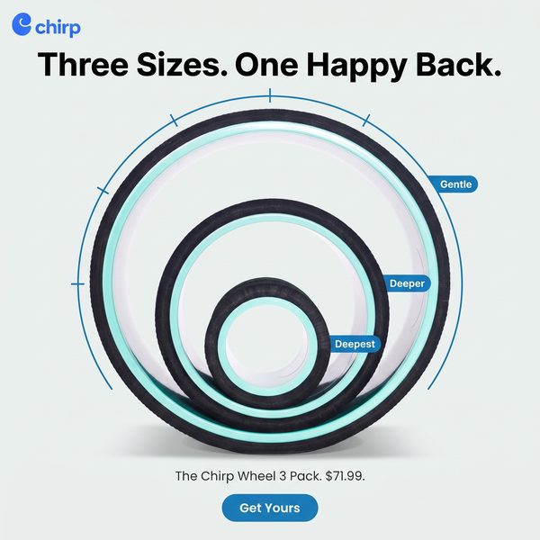 Chirp spec ad: Three Sizes. One Happy Back.